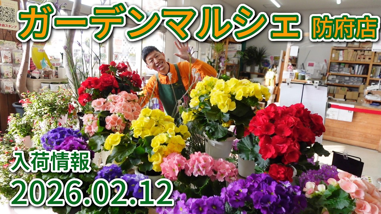 2026年2月12日 ガーデンマルシェ防府店 今週の入荷情報