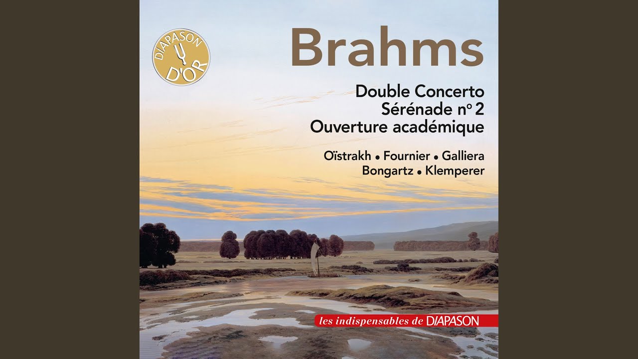 Serenade No. 2 in A Major, Op. 16: III. Adagio non troppo