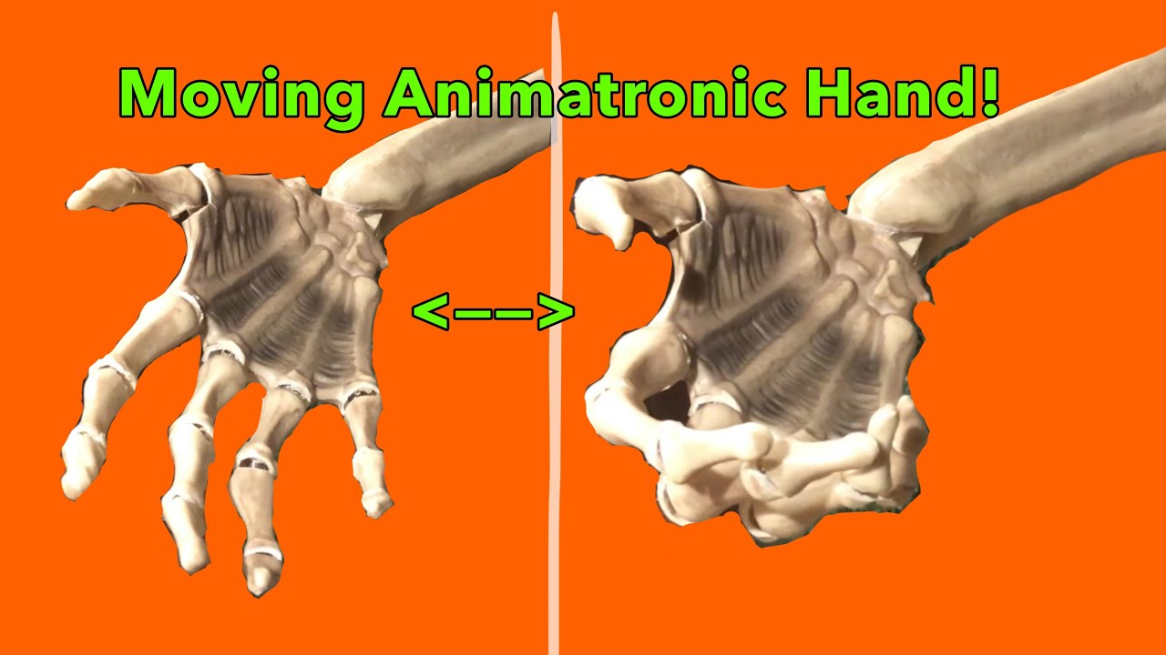 Custom DIY Moving Animatronic Skeleton Hand for Grim