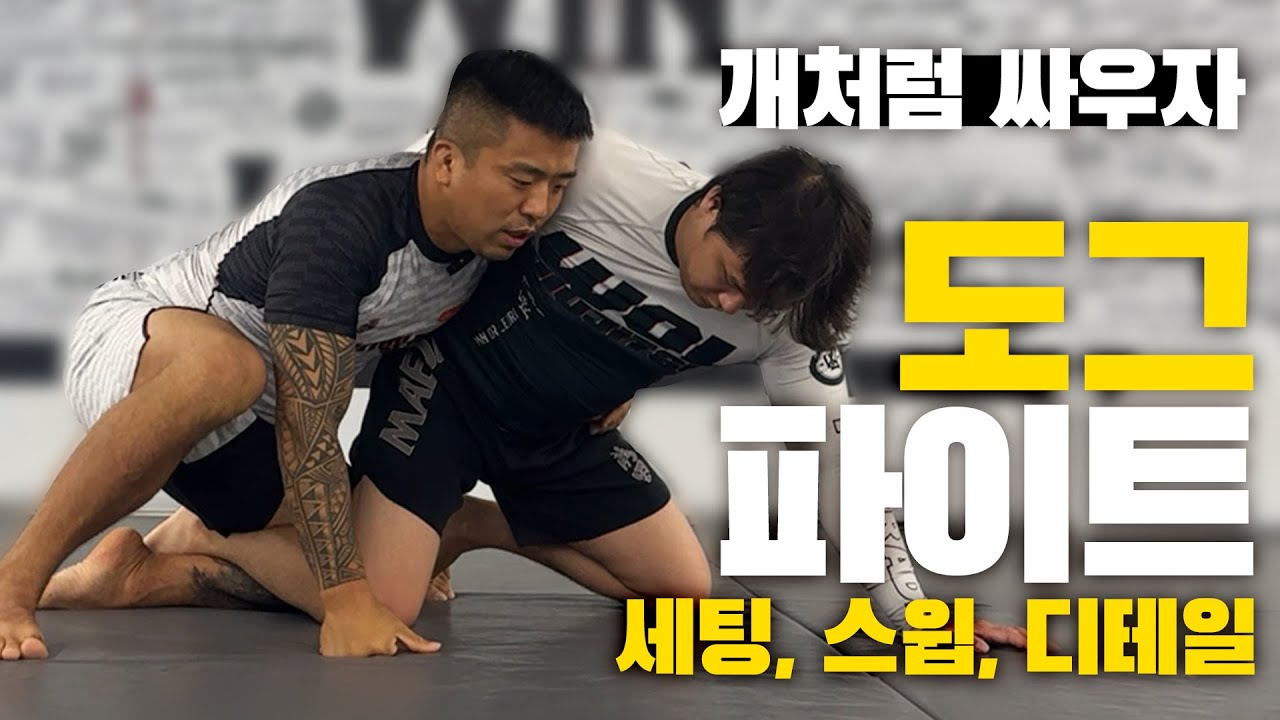 하프가드에서 도그파이트 스윕까지!