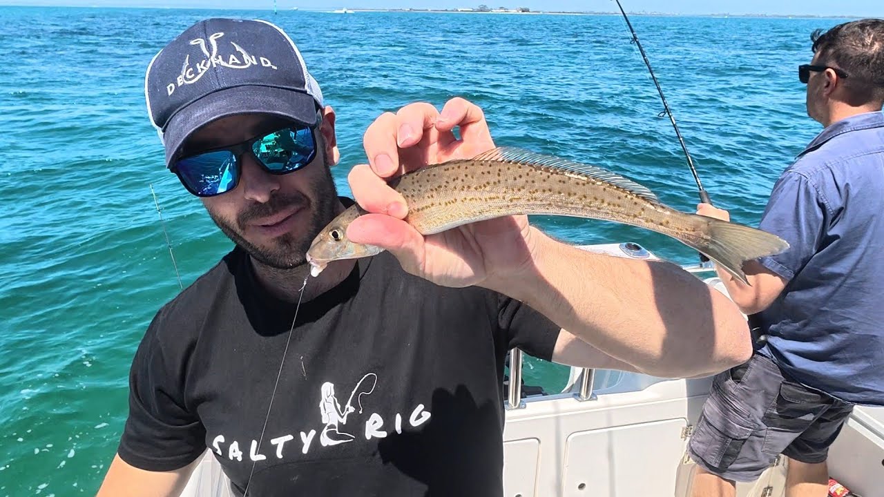 Whiting port phillip bay This Spot Changed Everything…