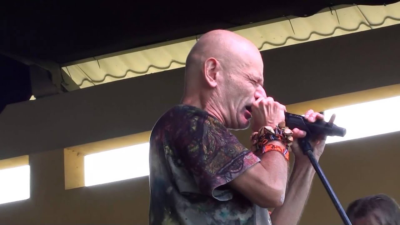 Szmata - na żywo Rock Na Bagnie 2015 cz. 2  Robert Brylewski