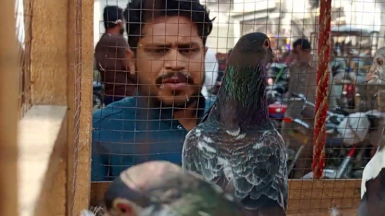 رمضان کا پہلا اتوار اور ماشاء اللہ کمال کی چیزیں لاری اڈا منڈی میں موجود ہیں