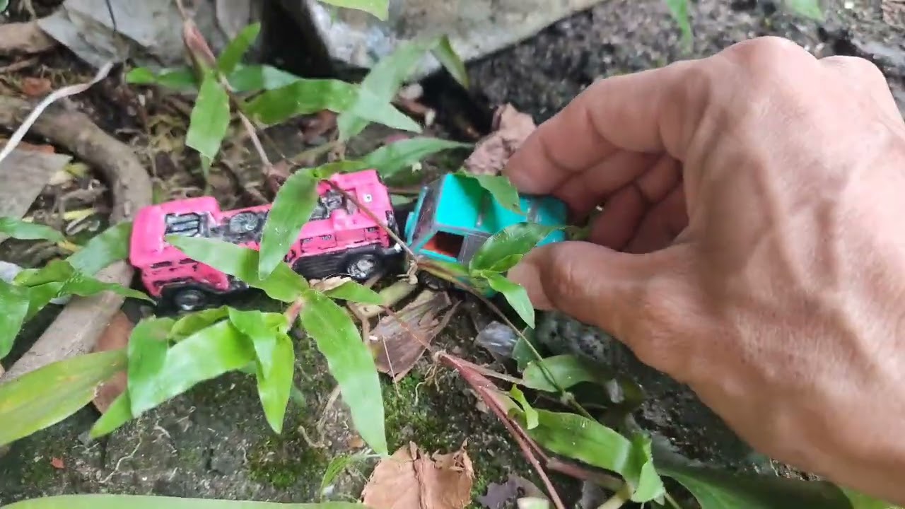 Mobila nabrak pohon 