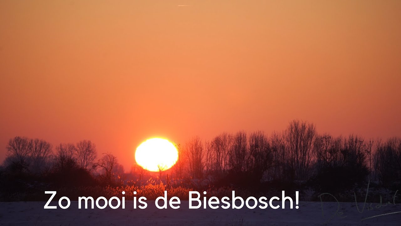 Zo mooi is de Biesbosch! / The beautiful Biesbosch! #253