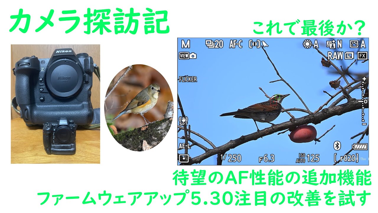 「カメラ探訪記　Z9のファームウェアアップ5.30 AFの改善点を試す！」