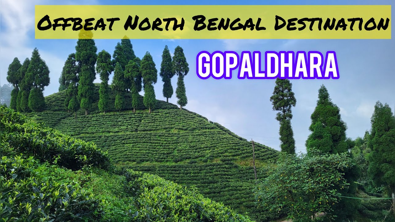 Offbeat North Bengal destination Gopaldhara | Tawang Khim homestay ~ #darjeeling #offbeatnorthbengal