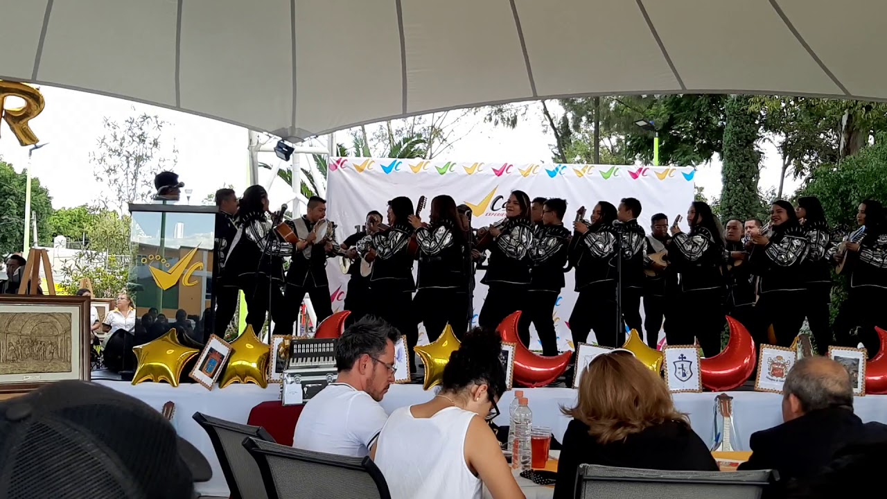 Estudiantina Segreles - las palmeras