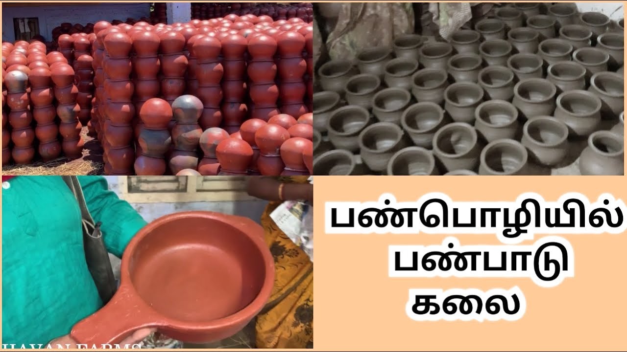 VLOG:பண்பொழியில் பண்பாடு கலை/Unique Collection of Terracotta Pots in Tenkasi/Terracotta Shop/Pots