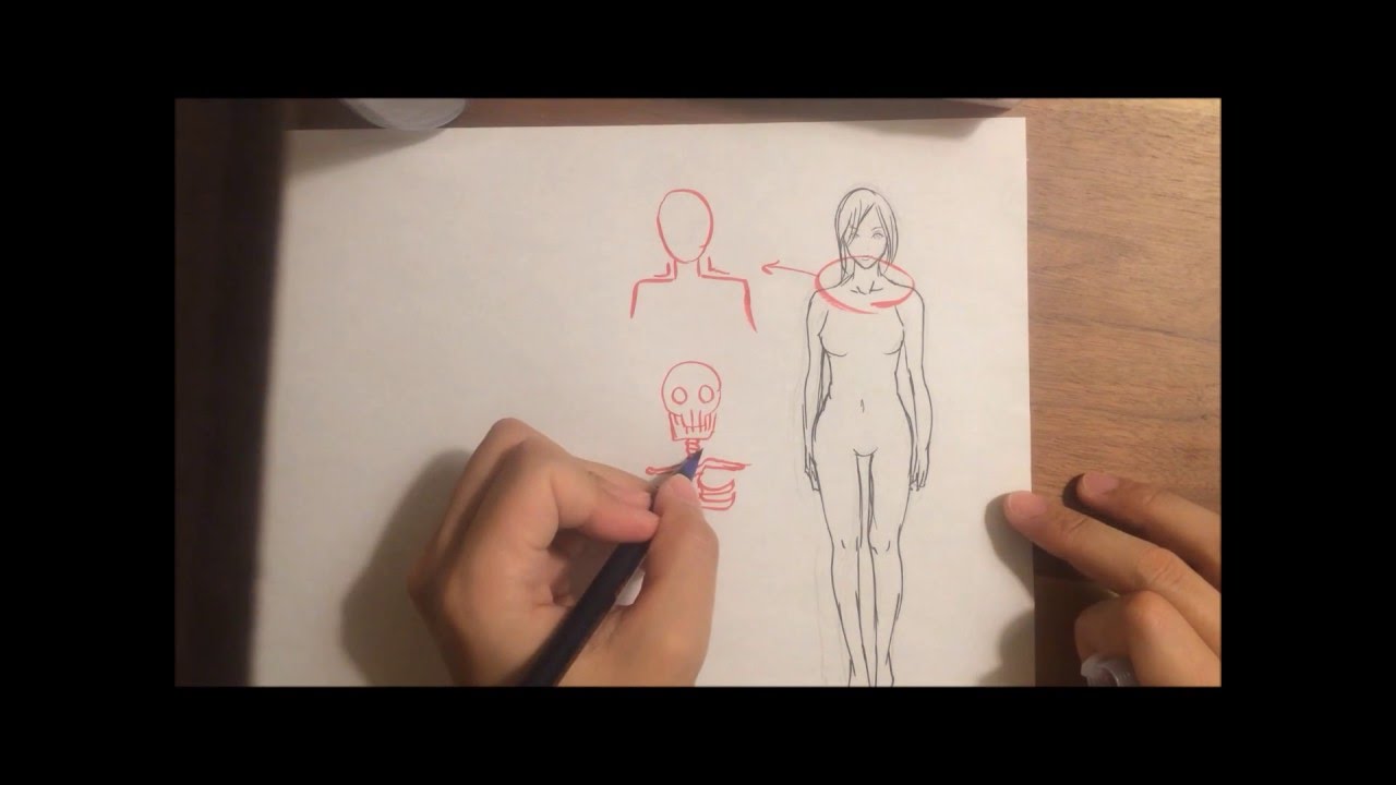 体の描き方”首から肩にかけて”