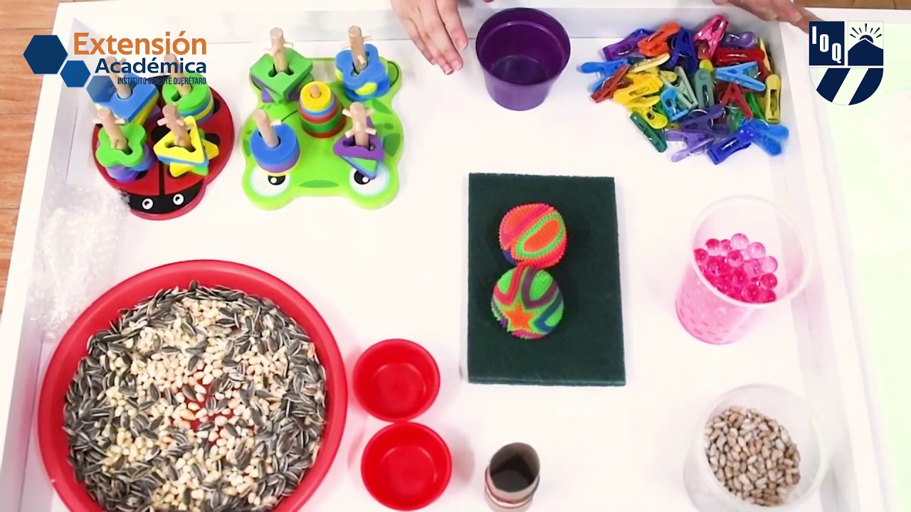 El desarrollo en edad Preescolar / Desarrollo Sensorial