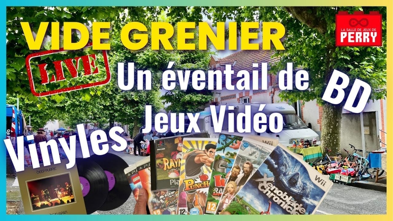 #195 - VIDE GRENIER LIVE - Excellentes trouvailles VINYLES, JV, BD et DVD, malgré la pluie