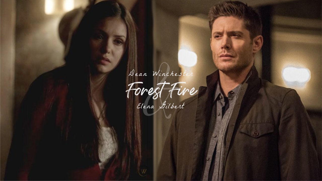Dean & Elena | Forest Fires