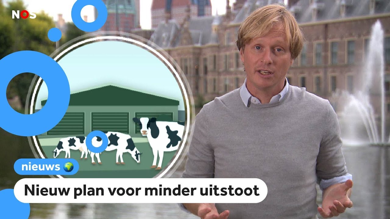 Wat moet de regering doen tegen het stikstof-probleem?