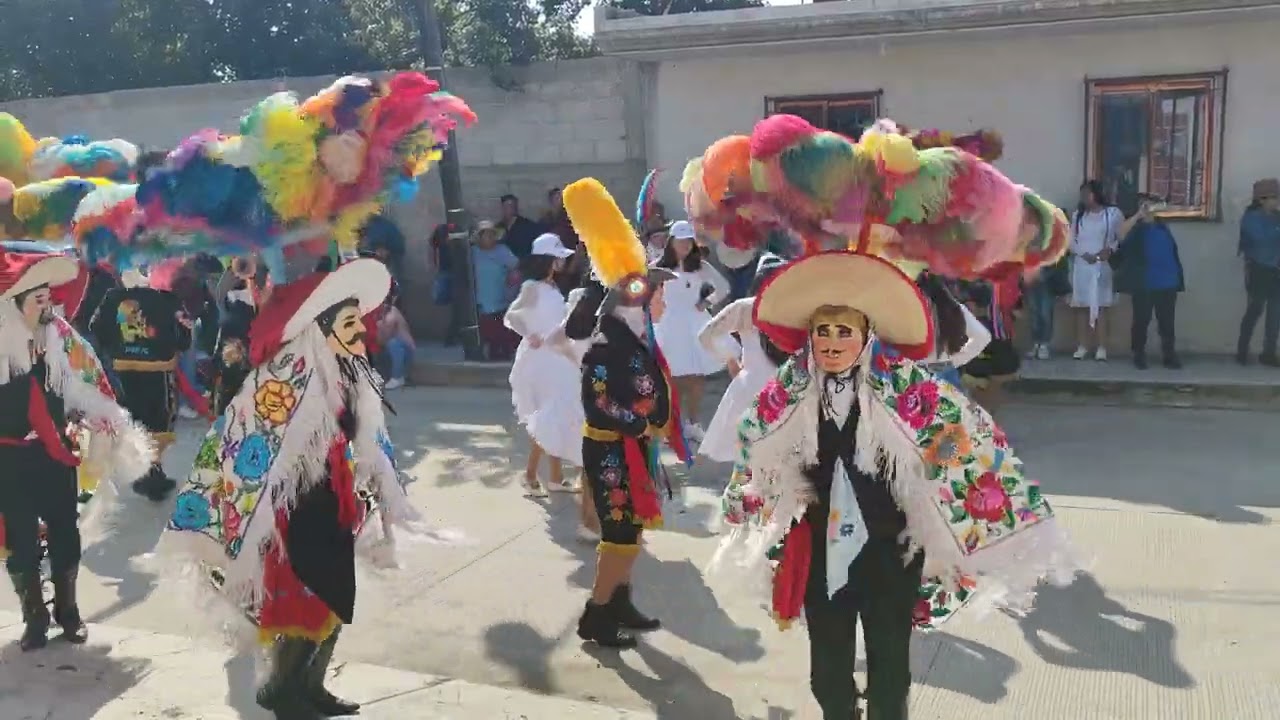 Carnaval Tepeyanco 2024 - Camada del Pueblo 3