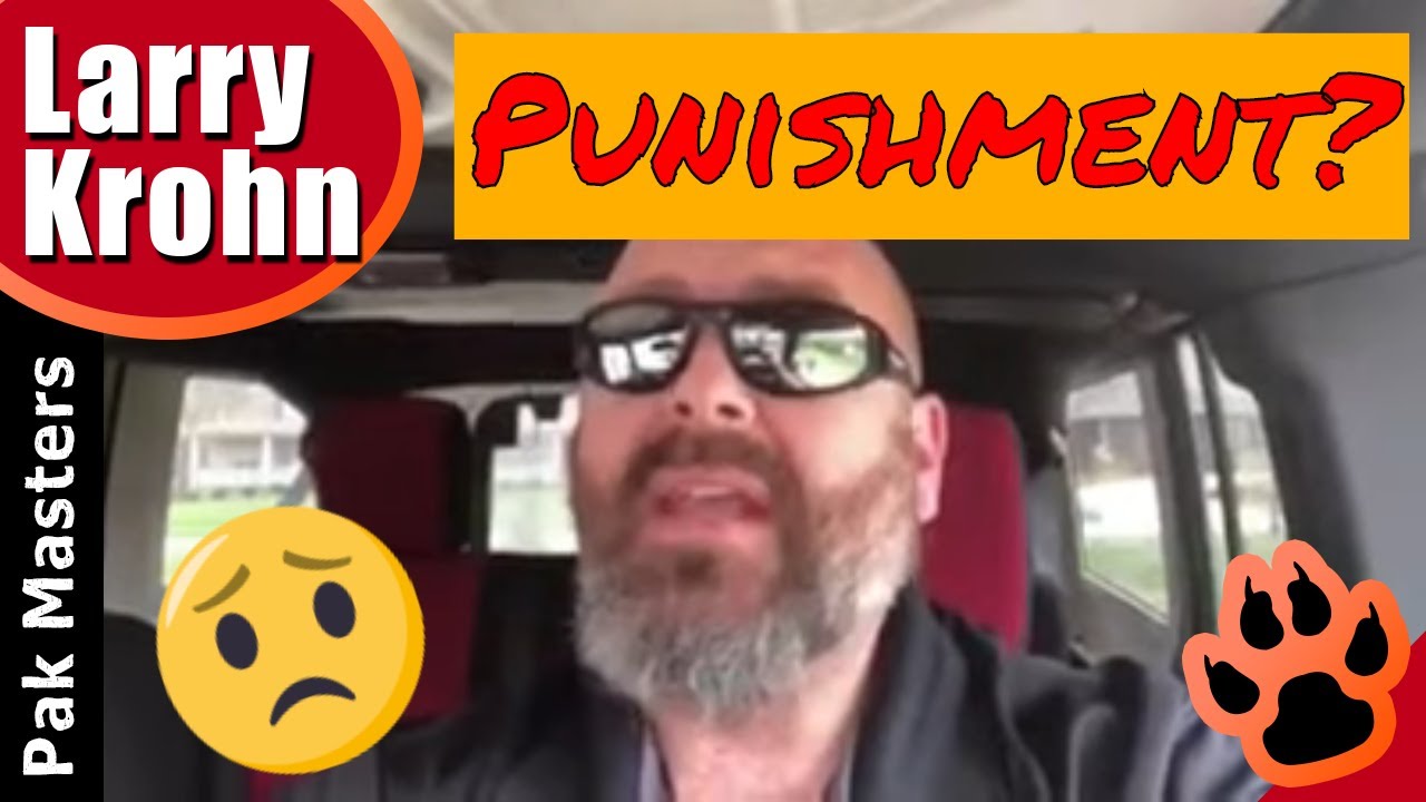 Is Punishment Necessary in Dog Training