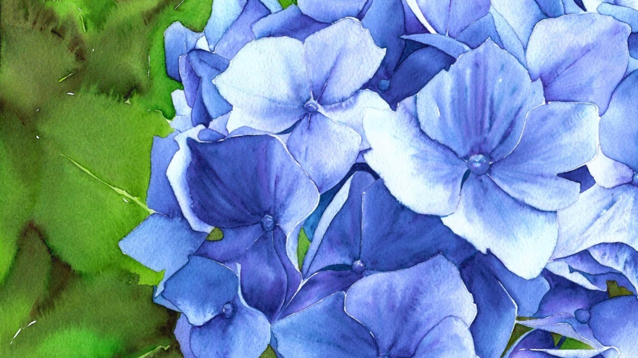 How to paint Blue Hydrangea with watercolour markers - Aquamarker tutorial