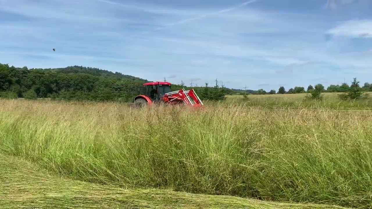 Zetor Forterra 12441+Pöttinger 305 🚜 senoseč 2024  #agriculture #tractor #zetor #ciągnik #hay