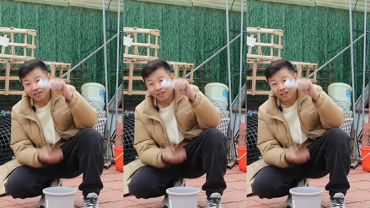 一种“藤本花”，一根枝条种土里，当年枝条爬满墙，开花一整片 一种“藤本花”，一根枝条种土里，当年枝条爬满墙，开花一整片