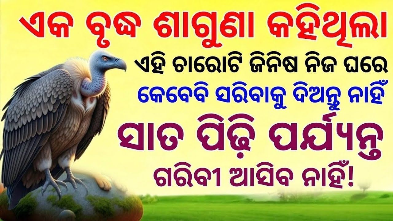 ଶାଗୁଣାଙ୍କ ଜୀବନ ଶିକ୍ଷା: ଘରେ ଏହି 4ଟି ଜିନିଷ କେବେ ସରିବାକୁ ଦିଅନ୍ତୁ ନାହିଁ | ସମୃଦ୍ଧି ଓ ସୁଖୀ ଜୀବନ ପାଇଁ 