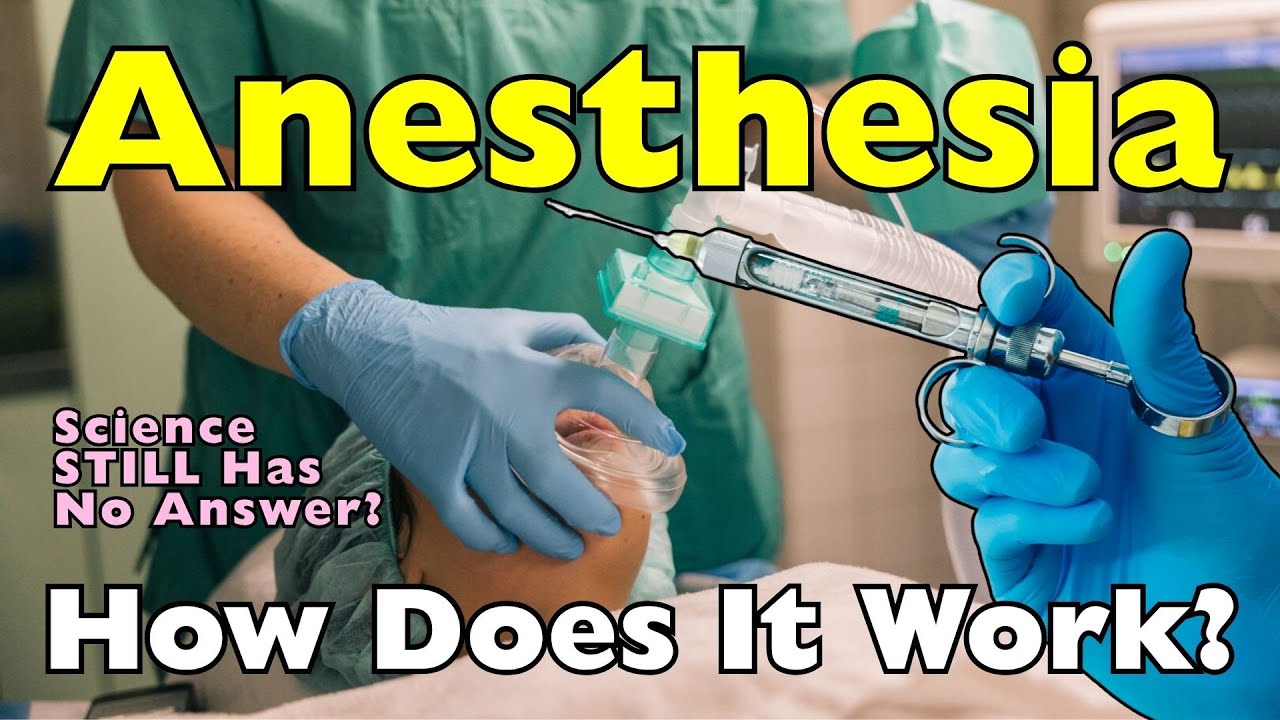 How Does Anesthesia Work?