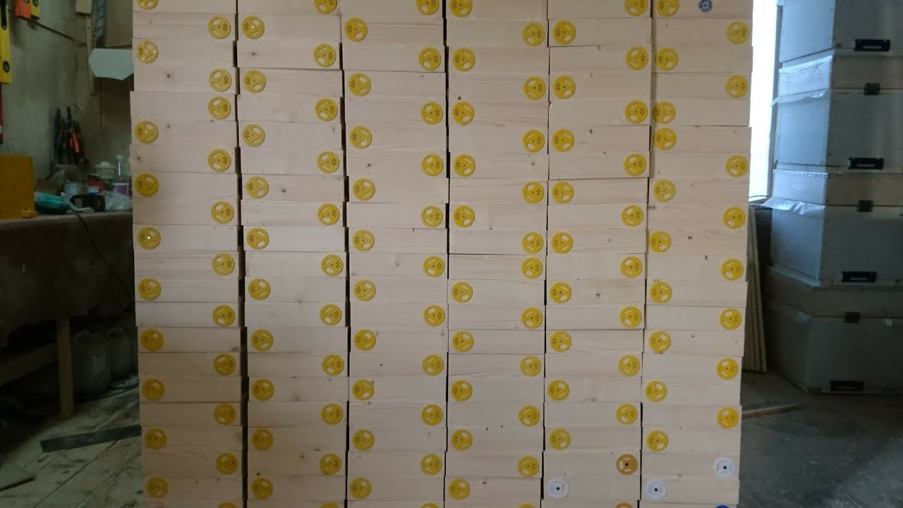 EWK нуклеус🐝👍