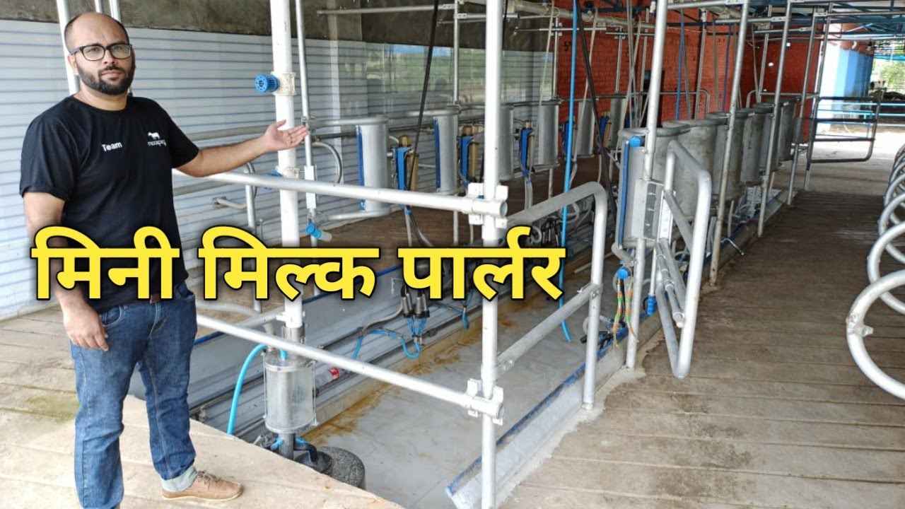 12 गायों का मिनी मिल्क पार्लर । Mini Milk Parlor Price। kisan farming