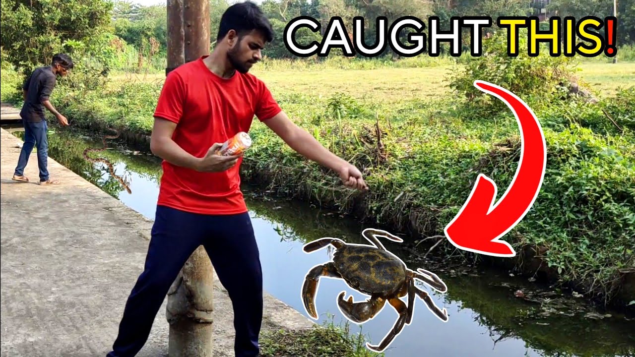 I Caught This HUGE CRAB While Fishing In The Wild!