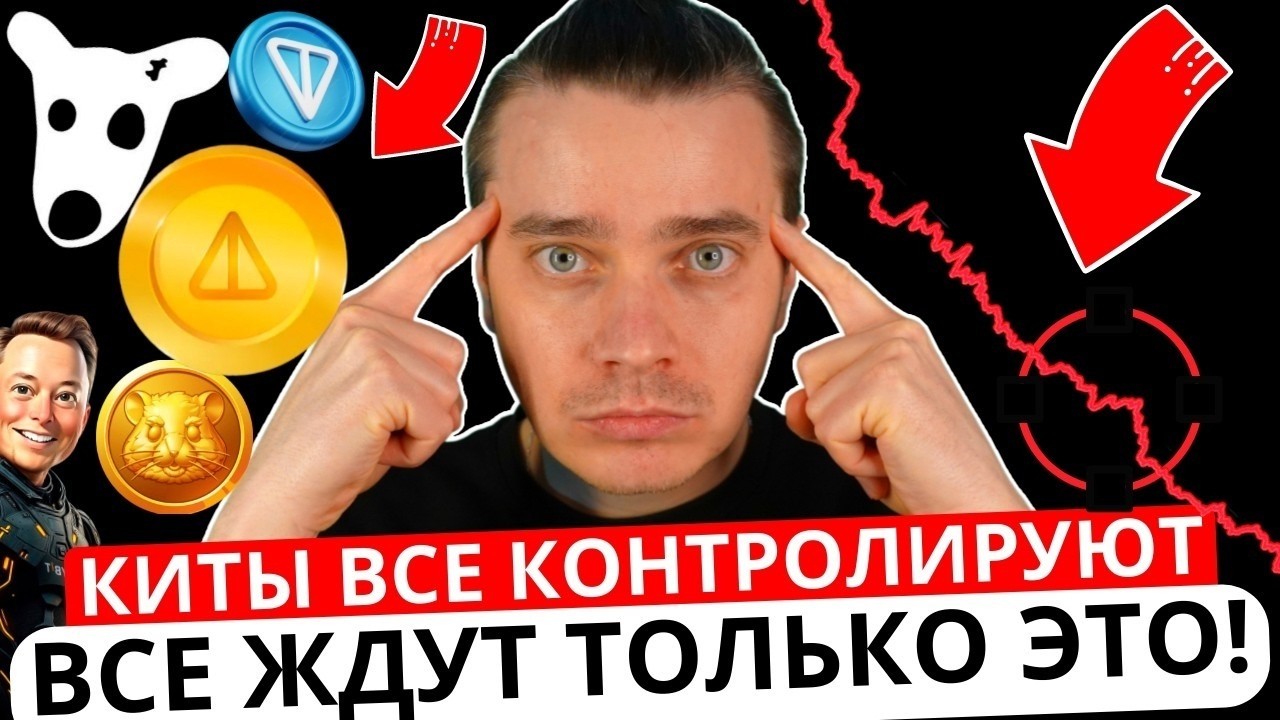 ⚠️МАССЕ УЖЕ ОЧЕВИДНО ЧТО СКАМ ⚠️ TONCOIN, DOGS, NOTCOIN, HMSTR, СТИКЕРЫ, ПОДАРКИ! НО ЕСТЬ ОДНО НО