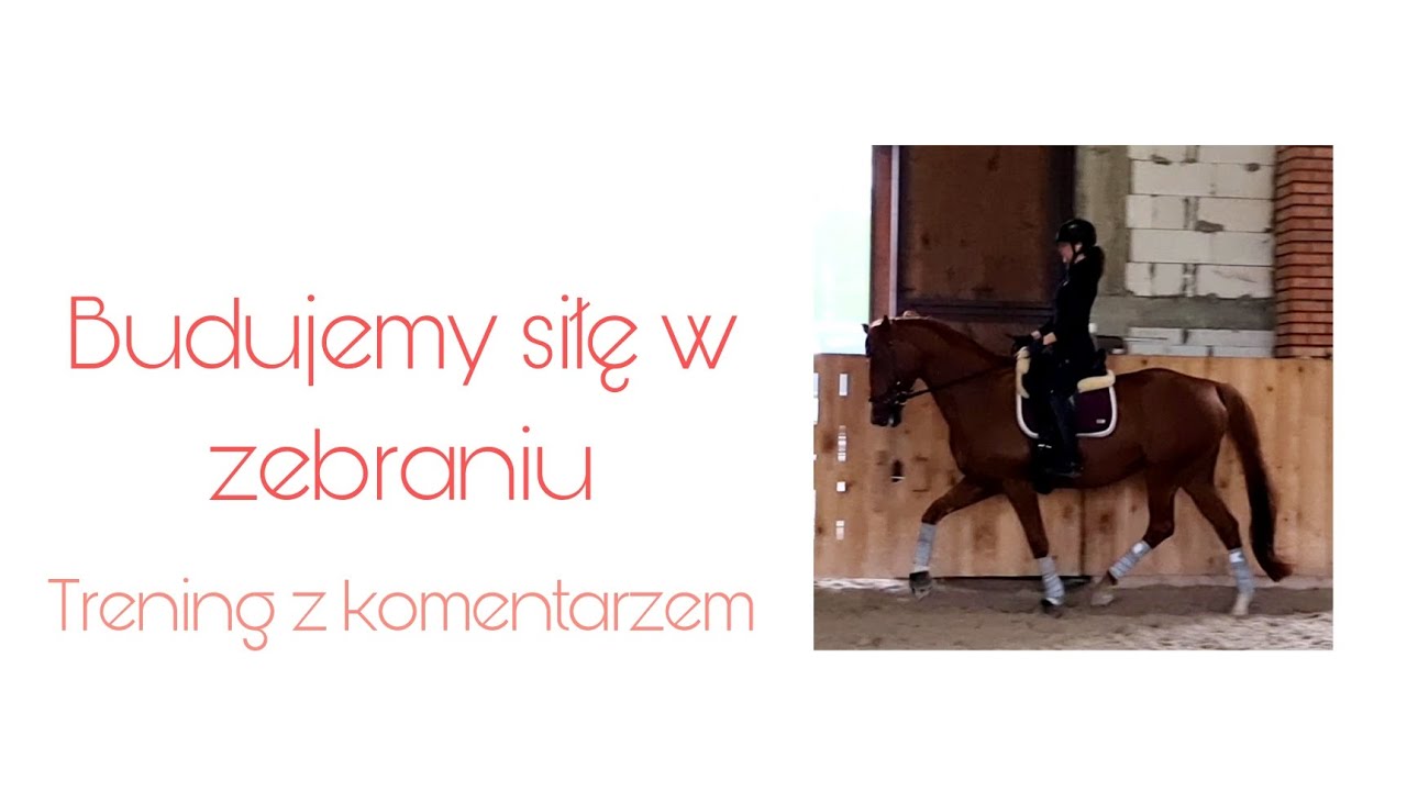 Trening ujeżdżeniowy z komentarzem - wracamy do gry! || Damon's Delight
