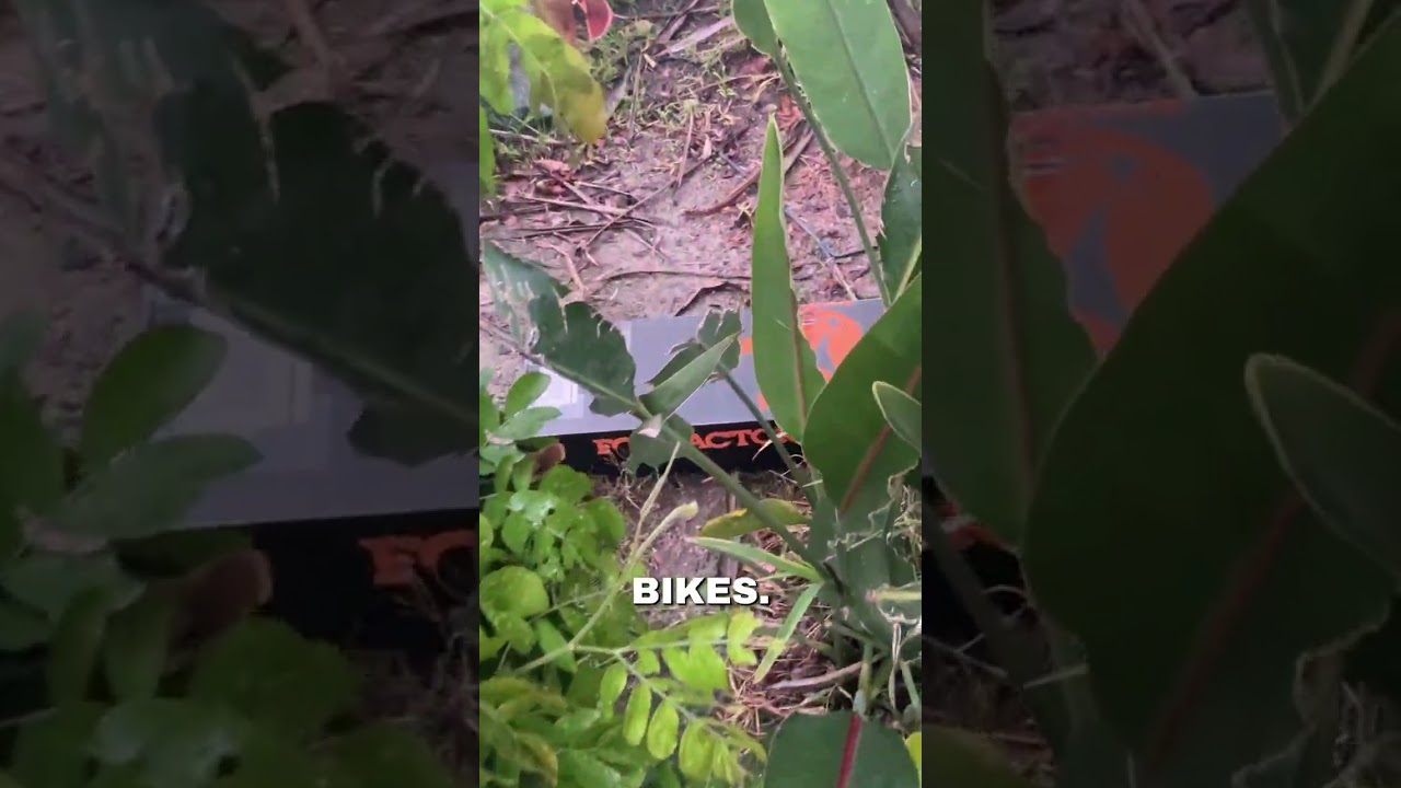 Thank goodness my name isn&rsquo;t Jane 🙏😭#mtb #shorts #viral #fyp
