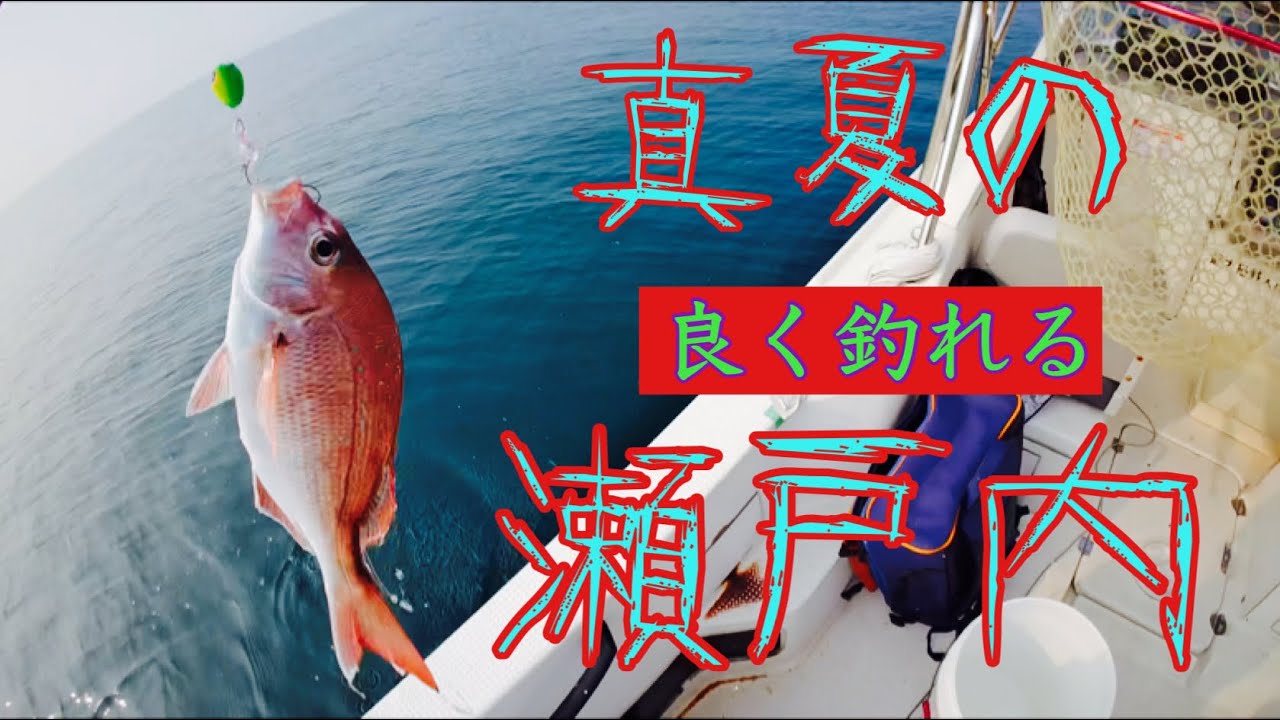 真夏のアコウ&タイラバ！当たりが多くて楽しい！