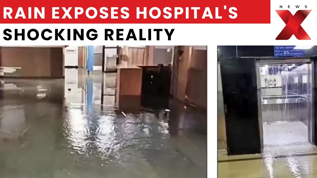 Gurugram Civil Hospital Flood: Heavy Rain Floods Basement, Shocking Hospital Videos Go Viral