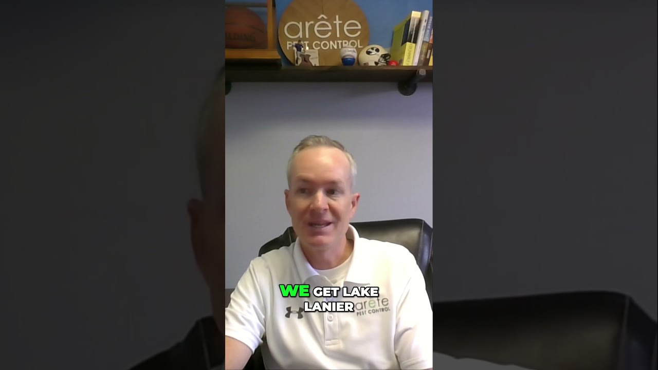 Beware: The Most Dangerous Pests in Buford, Georgia | Arete Pest Control