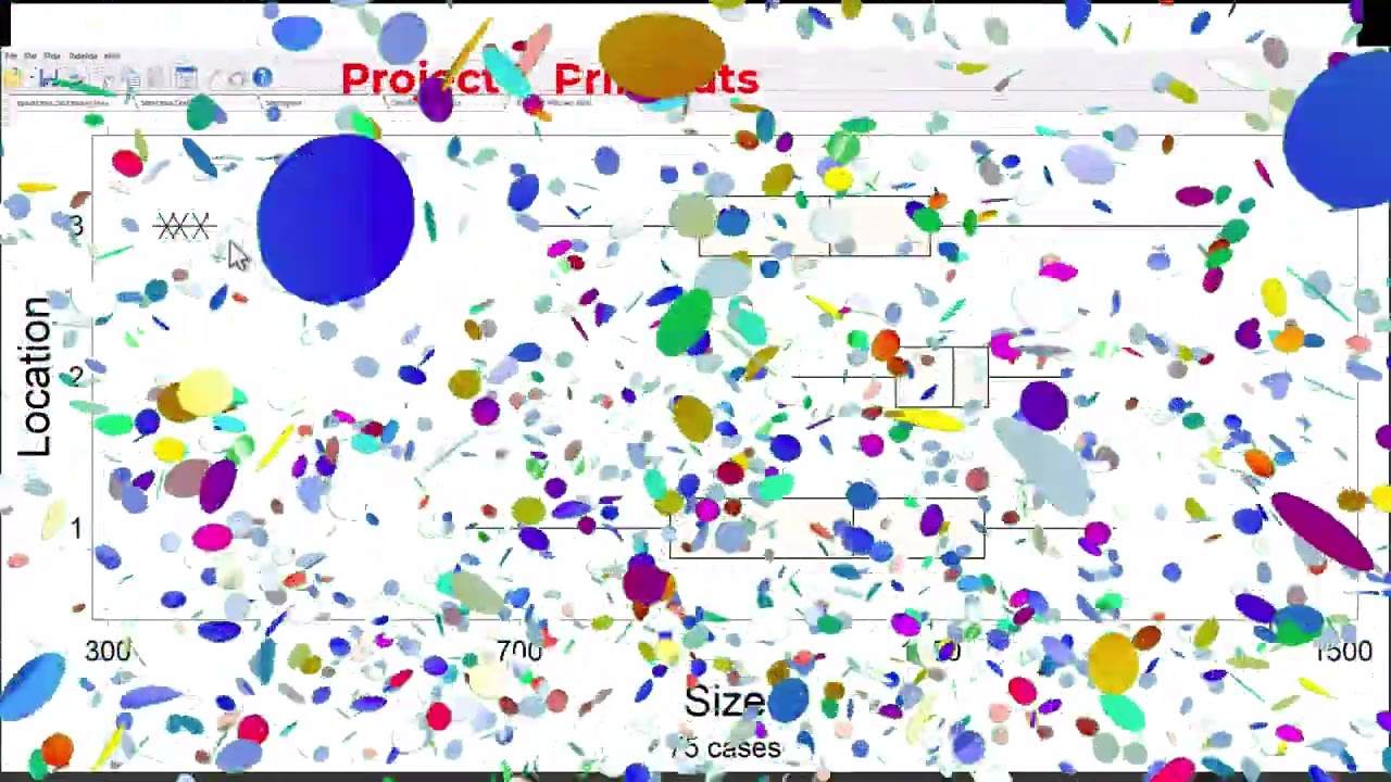 Project Printout Demonstration
