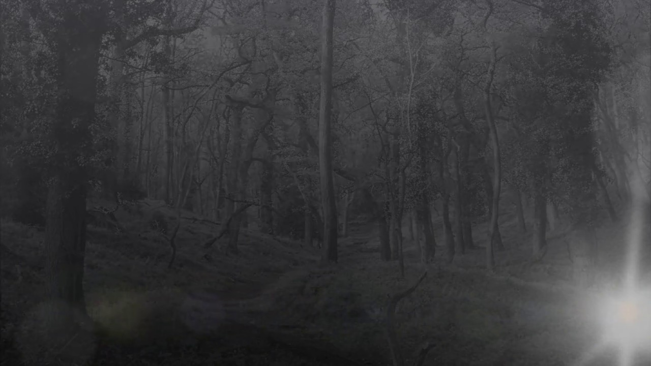 Holford Walk In The Spring, Part 4, 'Slaughterhouse Combe  a sinister name but a Beautiful Place', b
