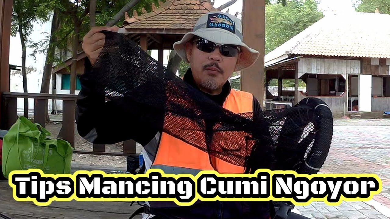 Tips Mancing Cumi Ngoyor #nyuminyoook #mancingcumi #tipsmancingcumi