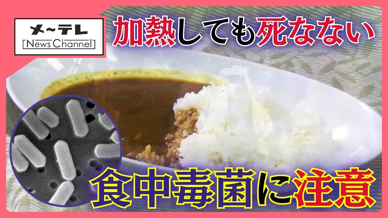加熱しても死なない「ウェルシュ菌」寒くなっても&ldquo;食中毒&rdquo;に注意　鍋やカレーなど煮込み料理に&hellip;