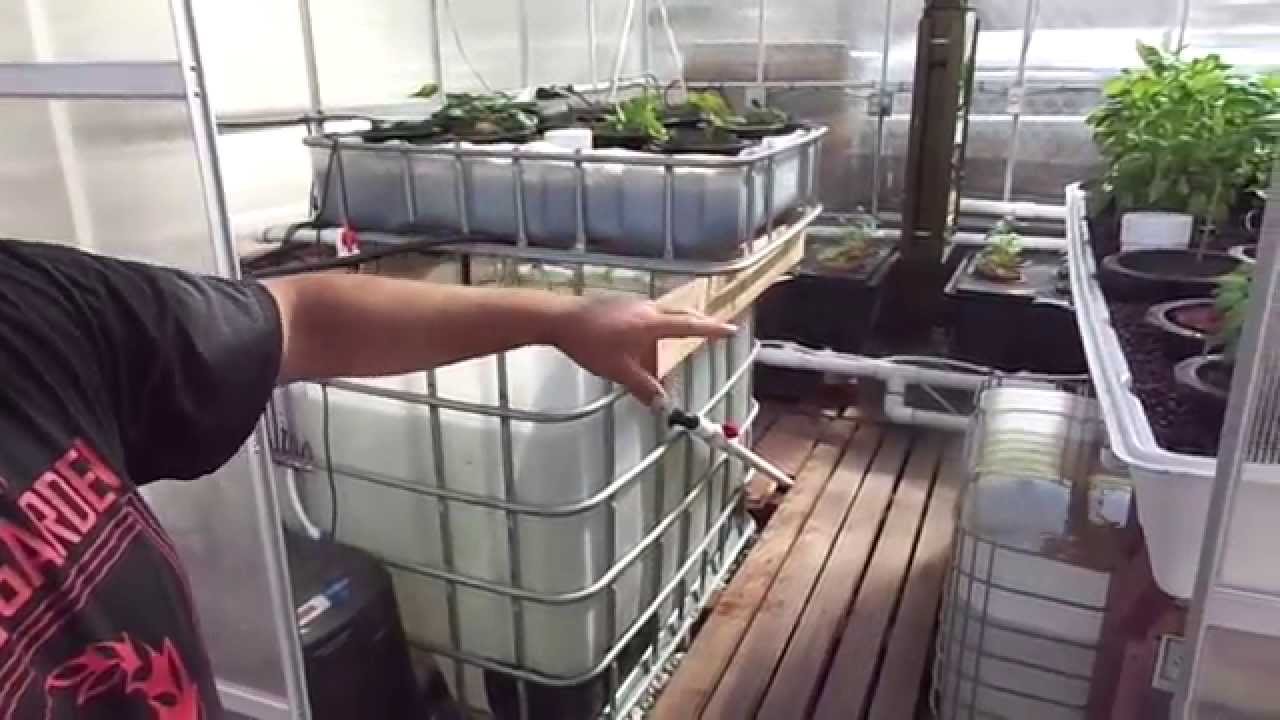 Inda-Gro Greenhouse Tour 8-6-14