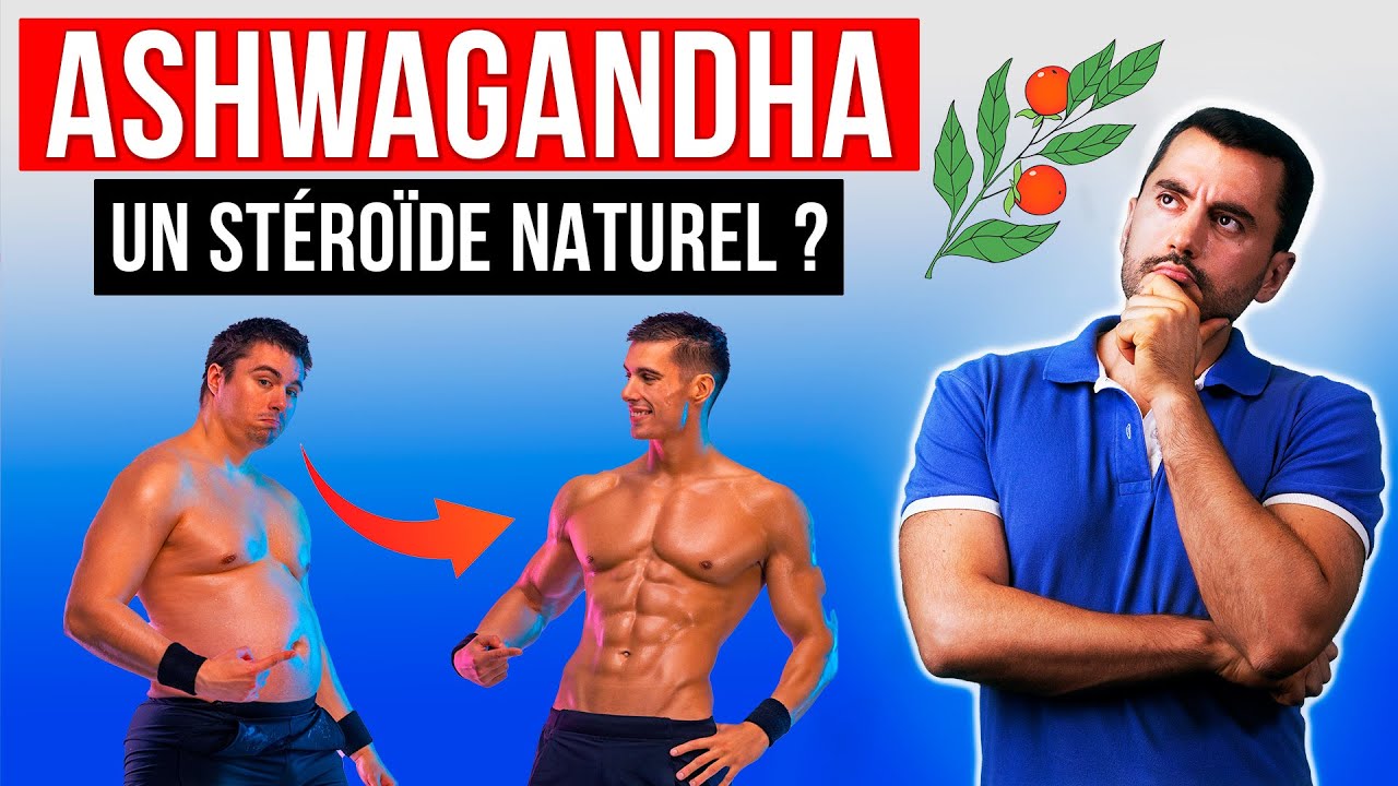 Les bienfaits de l'ashwagandha : stress, sommeil, testostérone