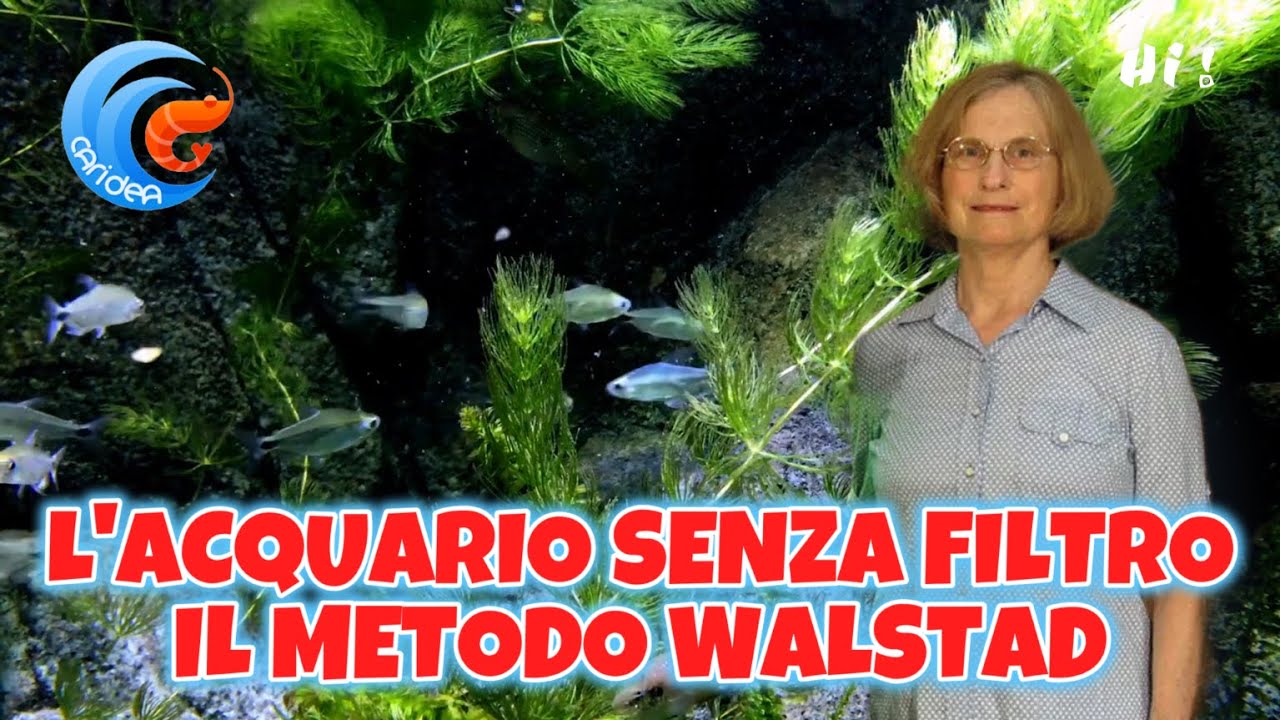 L'ACQUARIO NATURALE SENZA FILTRO: IL METODO WALSTAD. ECOLOGIA DELL'ACQUARIO PIANTUMATO