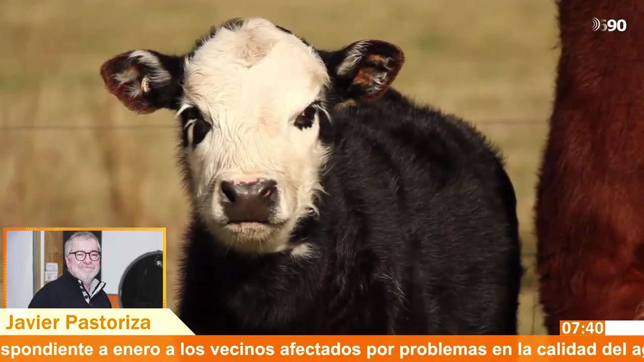 Titulares de Agronegocios con Javier Pastoriza