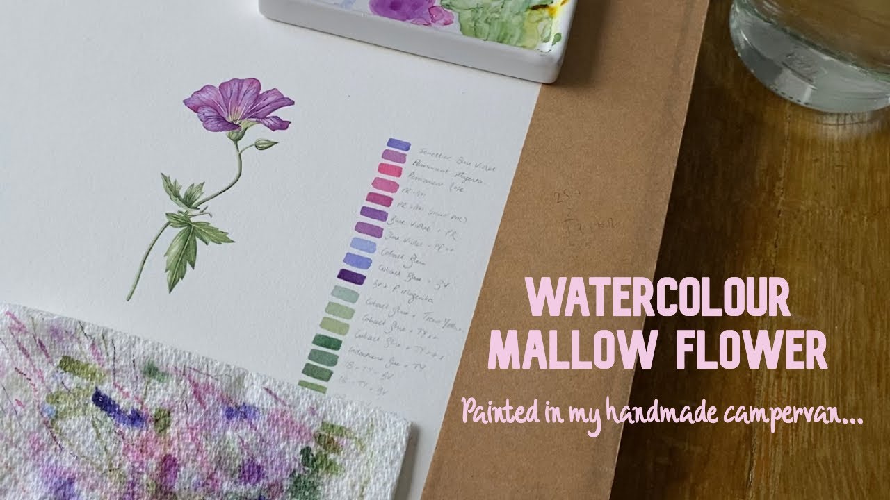 Watercolour Mallow Flower | Painting in my handmade camper van!