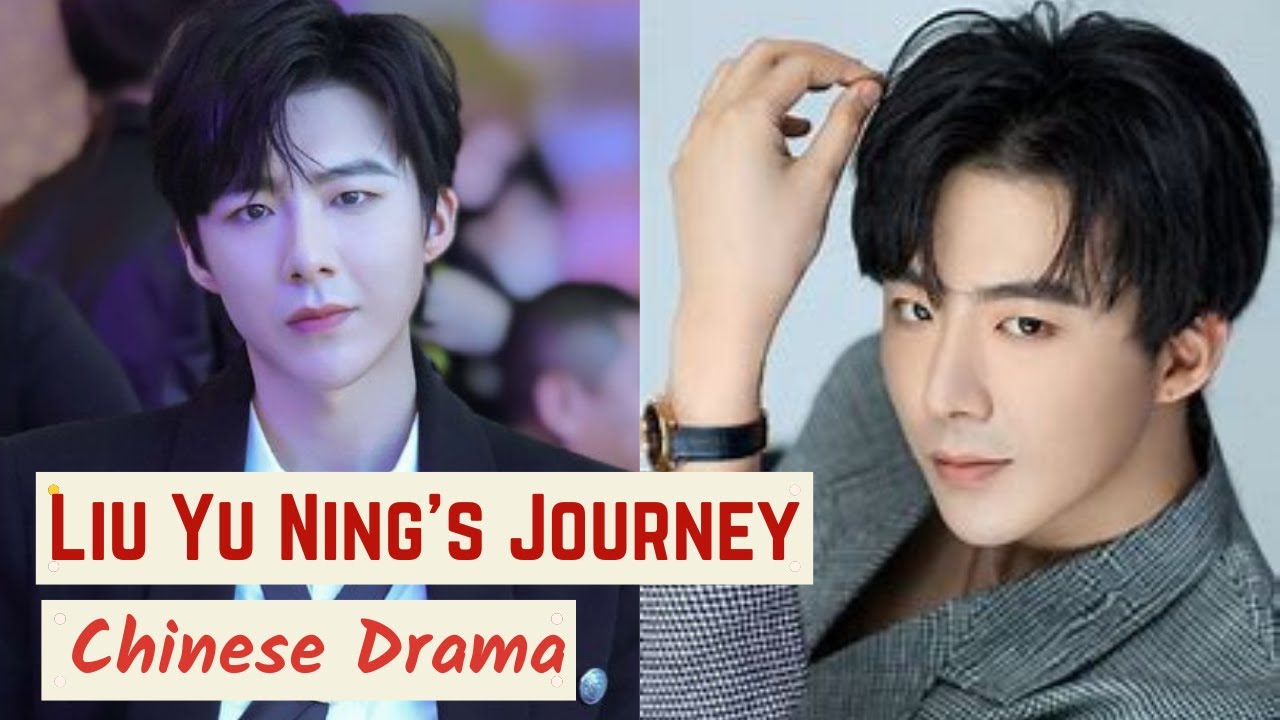 How did Liu Yu Ning Become an Actor & Singer? || Know his Journey