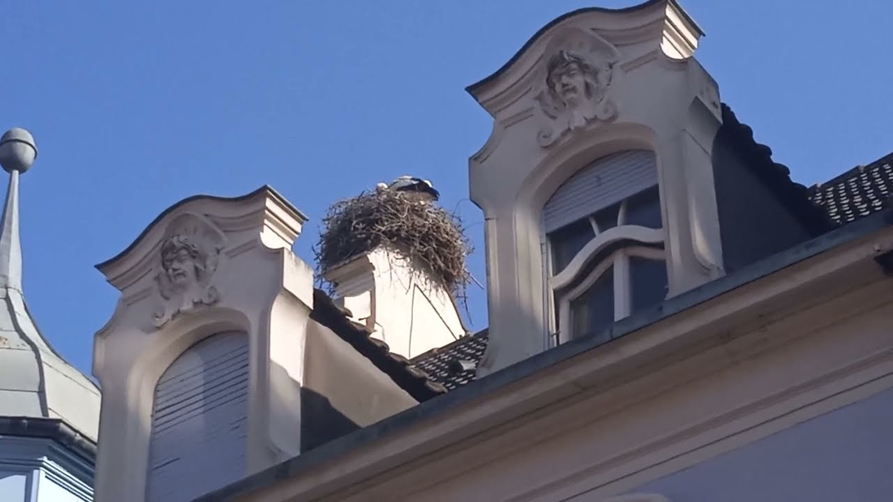 Немного внучке о Германии