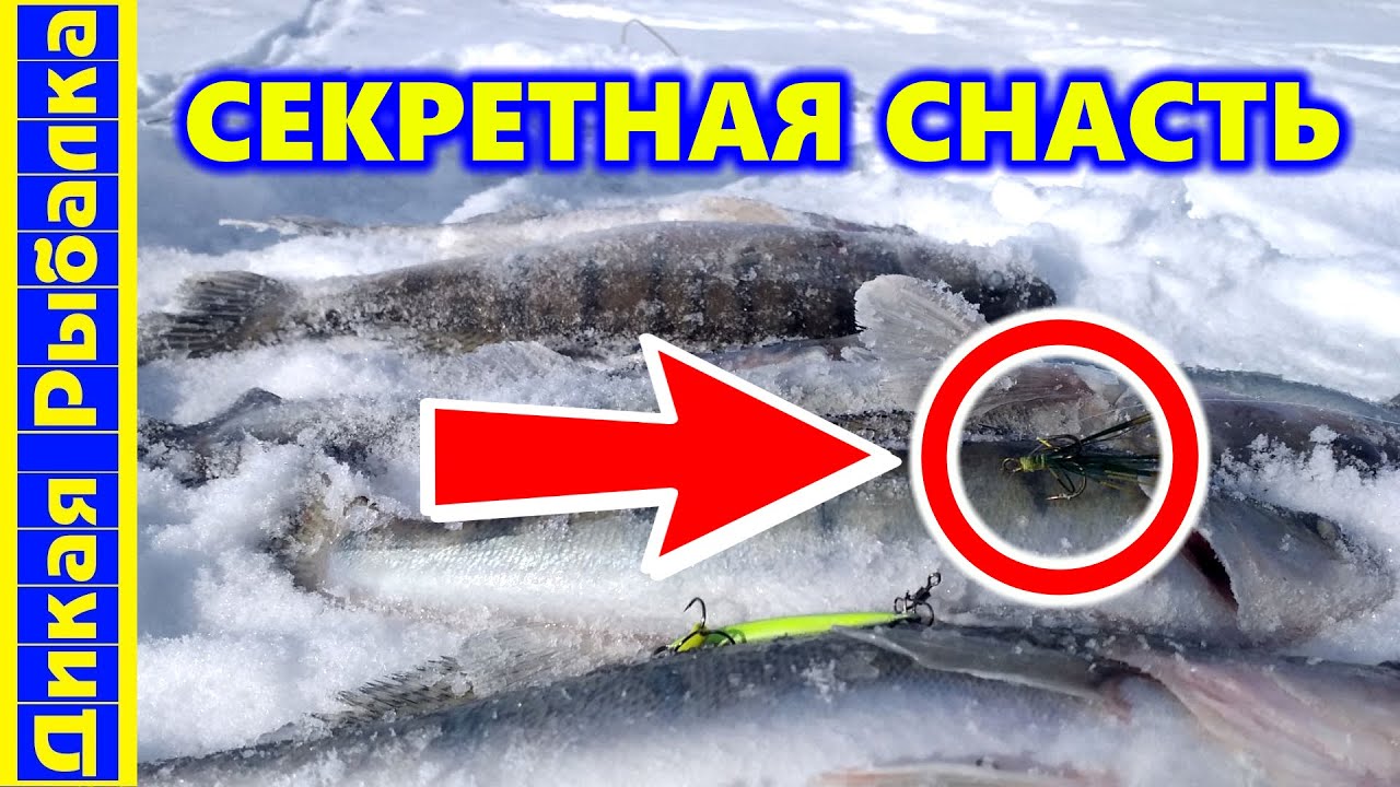 Как поймать пассивного судака зимой? Простая и уловистая приманка на хищника. Догонялка на судака