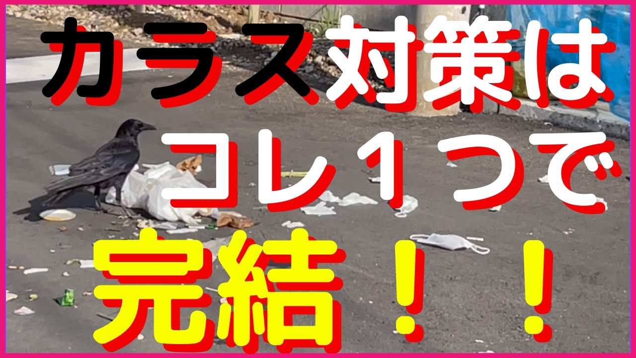 ごみ集積所のカラス被害は防げます！　これまでとは “全く逆の発想”で【カラスに必勝宣言！！】