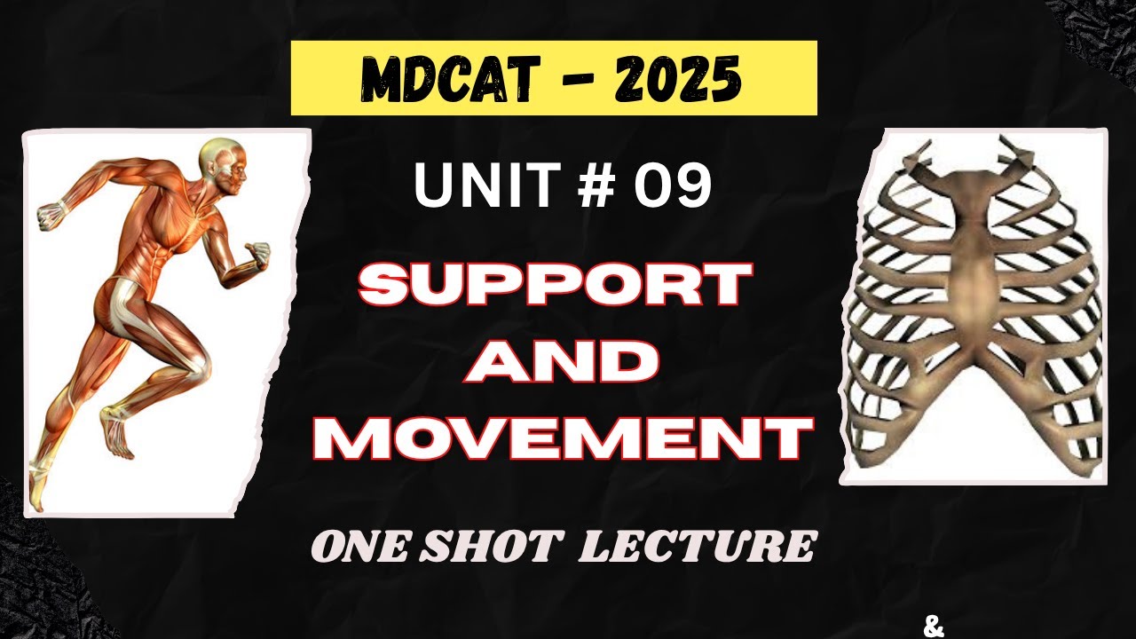 MDCAT - 2025 | SUPPORT AND MOVEMENT | PMDC UNIT 09 | ONE SHOT