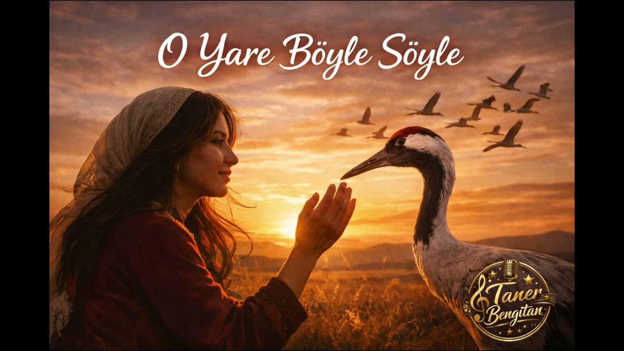 O YARE BÖYLE SÖYLE  (cover)