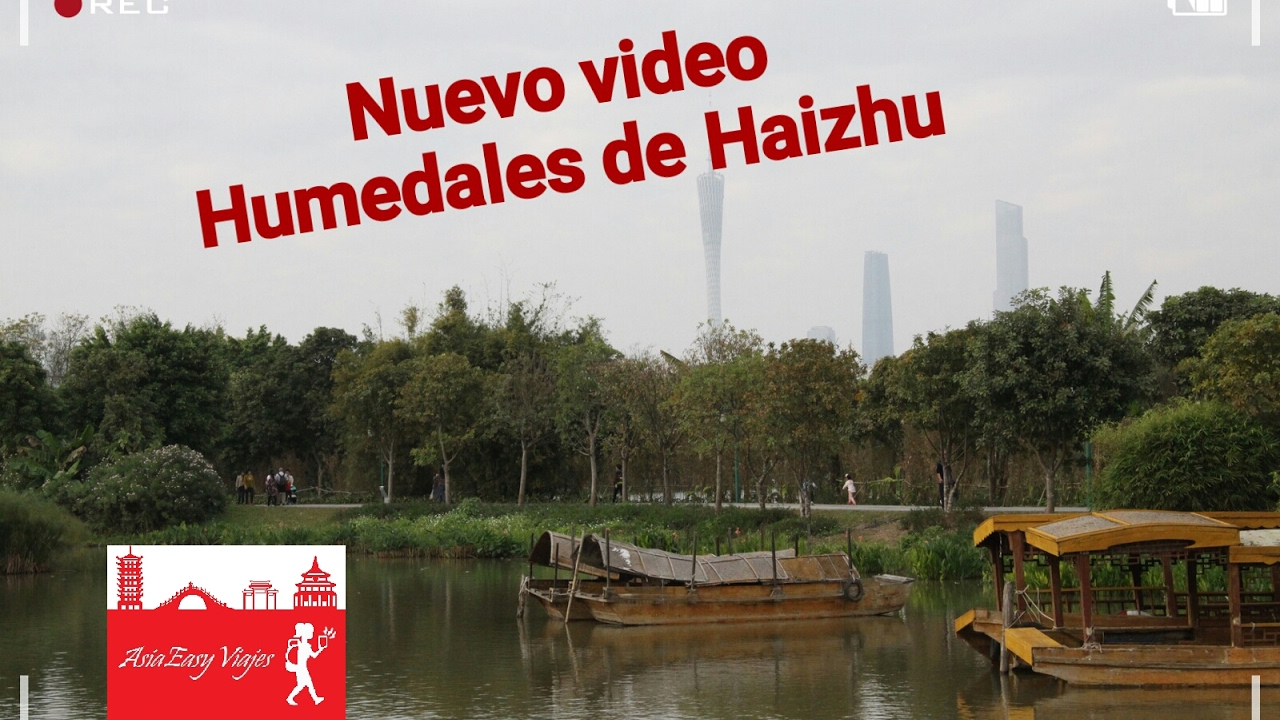 Humedales de Haizhu, Guandon, China
